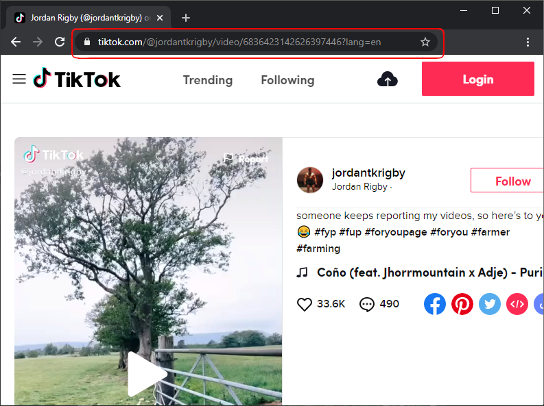 Copy TikTok video URL